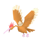 fearow 0 loend